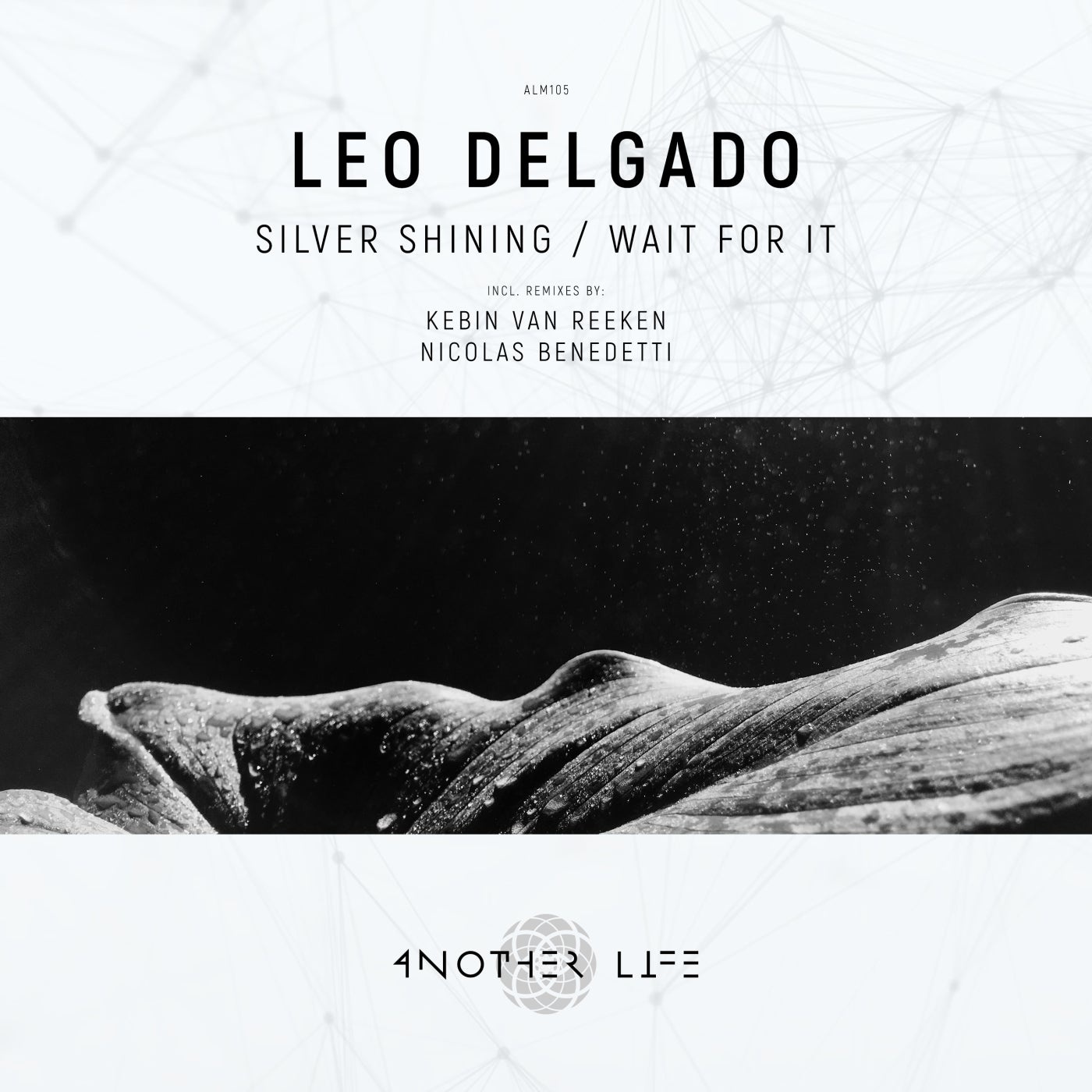 Leo Delgado - Silver Shining - Wait for It [ALM105]